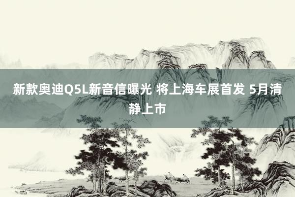 新款奥迪Q5L新音信曝光 将上海车展首发 5月清静上市