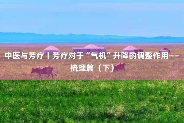 中医与芳疗丨芳疗对于“气机”升降的调整作用——梳理篇（下）