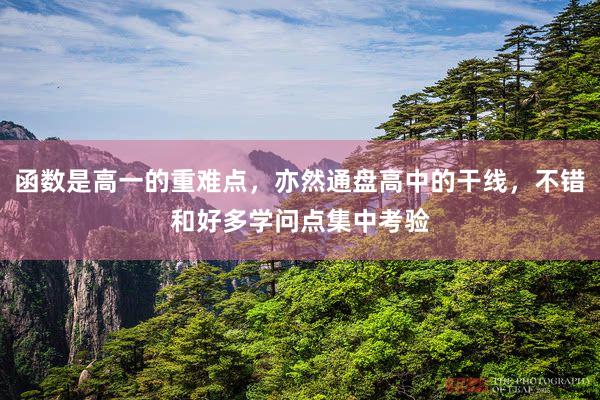 函数是高一的重难点,亦然通盘高中的干线,不错和好多学问点集中考验