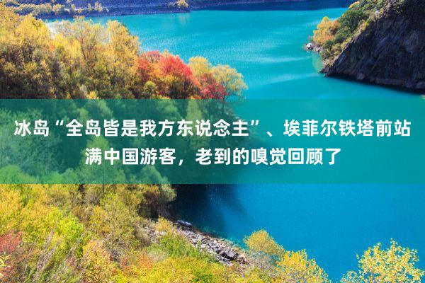 冰岛“全岛皆是我方东说念主”、埃菲尔铁塔前站满中国游客，老到的嗅觉回顾了